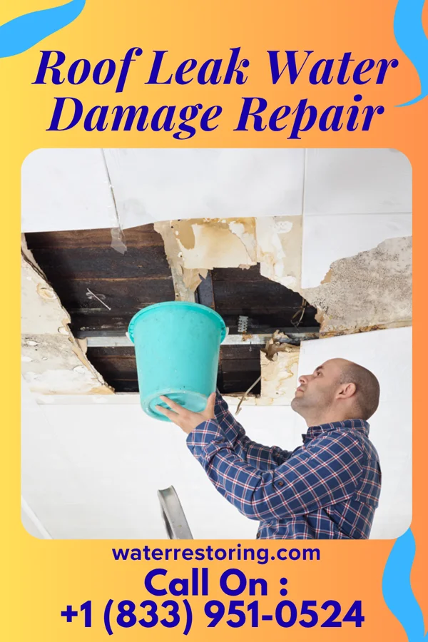Roof Leak Water Damage Repair in Bayboro, NC
