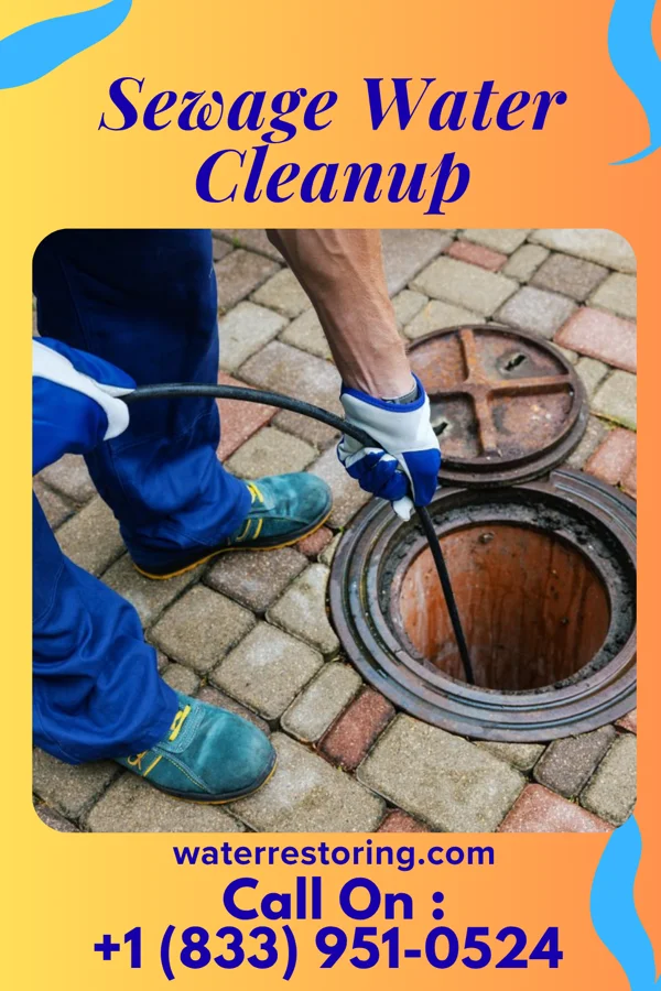 Sewage Water Cleanup in Bayboro, NC